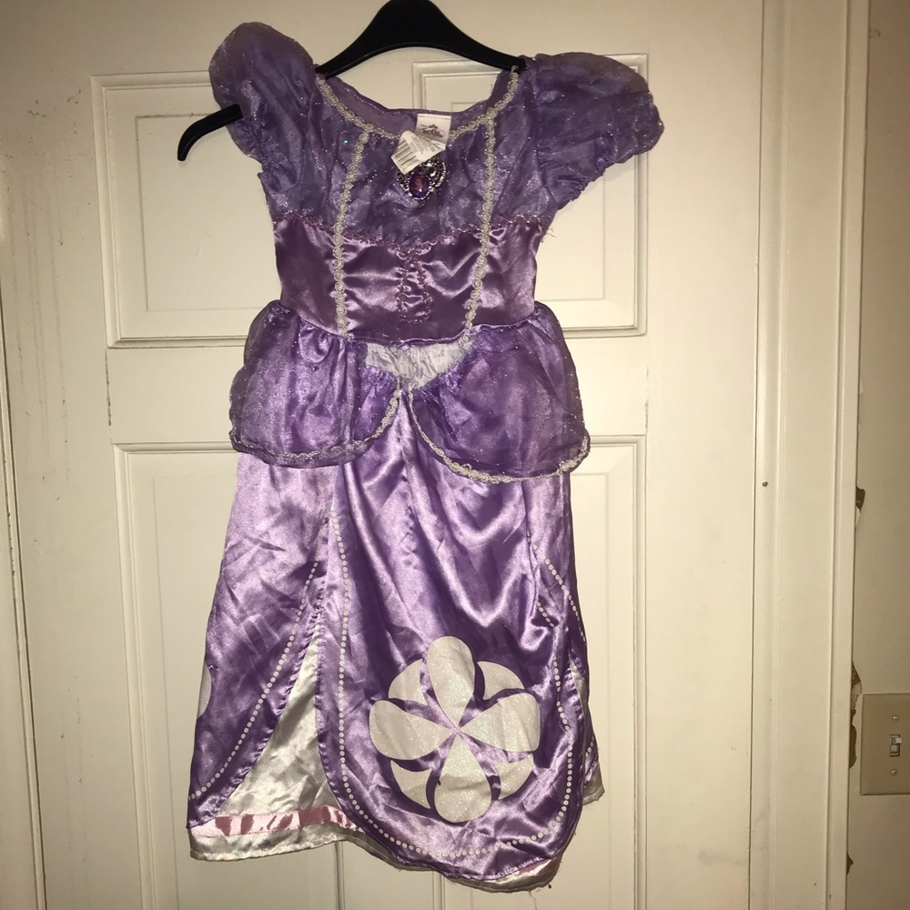 3/$15 Sofia the first costume